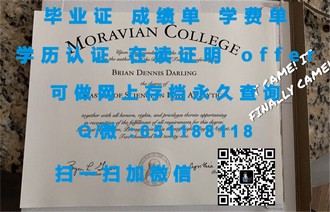 《怀卡托大学文凭：开启全球就业新篇章的通行证》