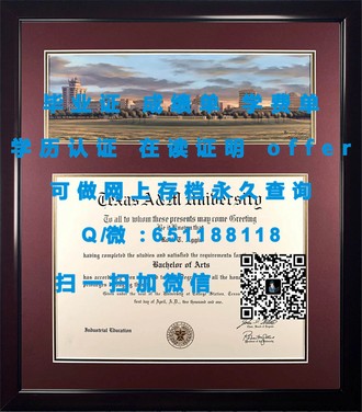 《安大略艺术设计学院文凭：培养未来设计界领袖的摇篮》