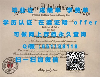 《莱佛士国际设计学院文凭：开启视觉艺术新纪元的通行证》