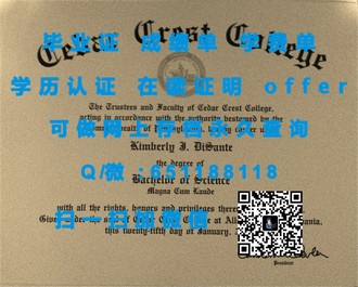《新南威尔士大学文凭：开启全球就业新篇章的通行证》