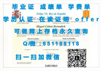 《斯文本科技大学文凭：学历背后的实力与全球认可度揭秘》