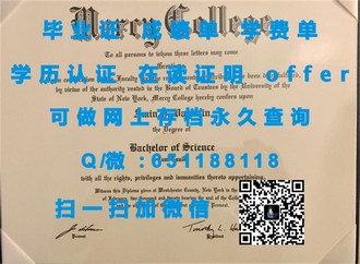 《纽卡斯尔大学文凭：开启国际教育新篇章的秘密武器》