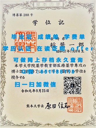 《利莫瑞克理工学院文凭：开启职业生涯的全球通行证》