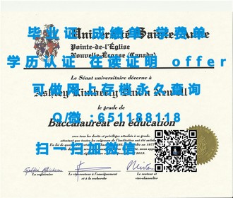 《爱尔兰卡罗理工学院文凭：全球认可的优质教育成就展示》