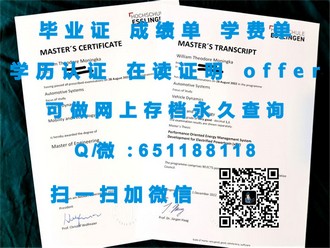 《新南威尔士大学文凭：开启你的国际学术之旅》