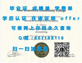 《梅努斯大学文凭：开启职业生涯的敲门砖，成就未来无限可能》