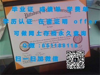 利默里克大学文凭：解锁国际教育成就的敲门砖