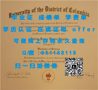 《新南威尔士大学文凭：成就全球职场精英的黄金钥匙》