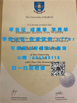 《蒂赛德大学文凭：解锁国际教育新高度的通行证》