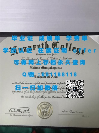 《斯特兰米尔斯大学文凭：开启职业生涯的敲门砖与全球认可的凭证》