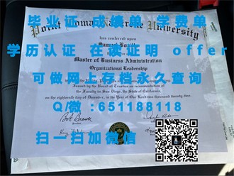 《威斯敏斯特大学文凭：开启全球教育新视野的通行证》