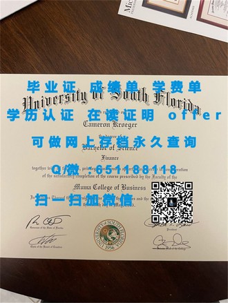 《中央昆士兰大学文凭：开启您未来职业道路的黄金钥匙》