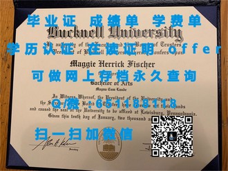 《阳光海岸大学文凭：开启全球职场黄金钥匙的秘密》