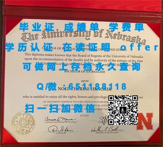 《都柏林大学文凭：开启国际学术旅程的钥匙》