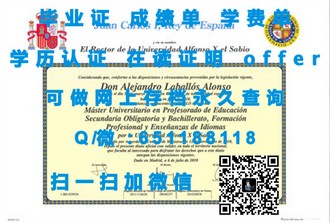 《新加坡共和理工学院文凭：开启国际认可的职业新篇章》