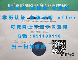 《苏塞克斯大学文凭：成就全球精英的学术殿堂》
