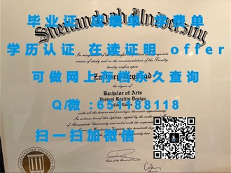 《里丁大学文凭：开启你未来职业生涯的黄金钥匙》