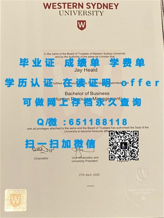 《圣玛丽大学文凭：开启未来职场大门的黄金钥匙》