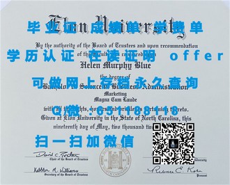 《南昆士兰大学文凭：开启国际化教育新篇章的钥匙》