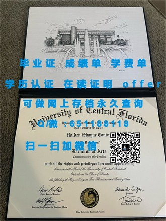 《利兹大学文凭：开启学术生涯的敲门砖，成就未来无限可能》