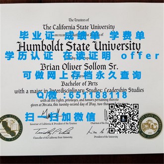 《伦敦大学皇家霍洛威学院文凭：开启你的国际学术之旅》