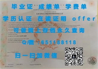 《圣安德鲁斯大学文凭：成就未来精英的荣耀凭证》