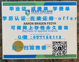 《斯特兰米尔斯大学文凭：开启你国际教育之旅的黄金钥匙》