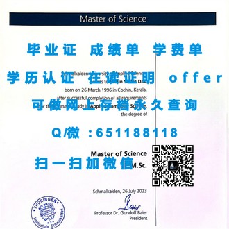 《都柏林大学圣三一学院文凭：开启国际学术之旅的黄金钥匙》