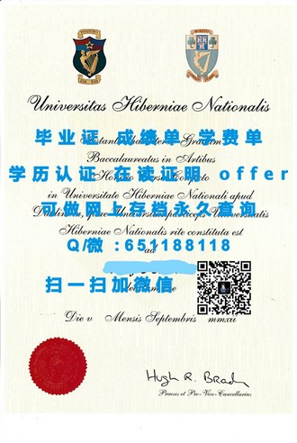 《都柏林大学文凭：开启全球认可的教育之旅》