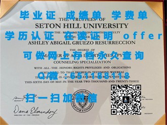 《都柏林理工学院文凭：开启全球职场通行证的黄金钥匙》