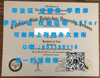 《南安普顿大学文凭：开启你的学术之旅，成就你的辉煌未来》
