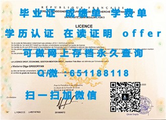 《斯特拉斯克莱德大学文凭：开启你的学术与职业新篇章》