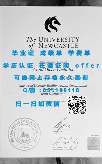 《纽卡斯尔大学文凭：开启你的学术与职业新篇章》