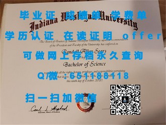 《马来西亚英迪大学文凭：成就国际教育品质的璀璨明珠》