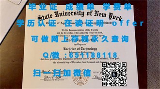 《莫纳什大学文凭：开启你的国际学术之旅》