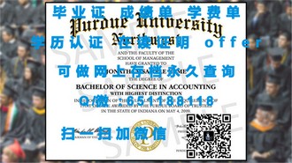 《萨里大学文凭：揭开这所英国顶尖学府的学术荣耀与就业价值》