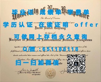 《诺森比亚大学文凭：成就未来，开启全球视野的钥匙》