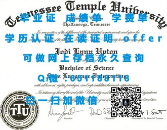 《南安普顿索兰特大学文凭：开启国际化教育新篇章的秘密武器》