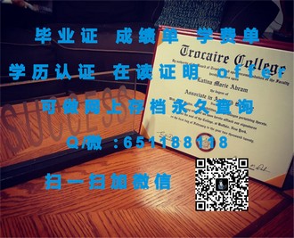 《斯文本科技大学文凭：开启未来职场大门的黄金钥匙》