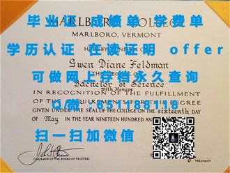 《埃塞克斯大学文凭：揭秘学历背后的价值与影响力》