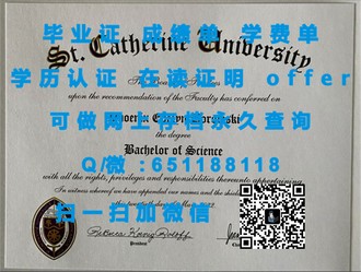 《林肯大学文凭：揭秘顶尖学府的学历魅力与全球认可度》