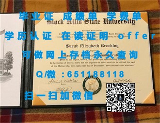 《英国开放大学文凭：开启国际教育新视野的通行证》