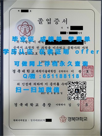 《新加坡管理大学文凭：开启职场精英之路的黄金钥匙》