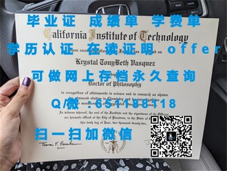 《卡迪夫大学文凭：开启你的国际学术之旅，成就全球视野的桥梁》