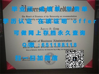 《布鲁奈尔大学文凭：开启职业生涯的敲门砖，成就未来无限可能》