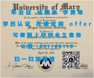《阿斯顿大学文凭：开启职场精英之路的黄金钥匙》