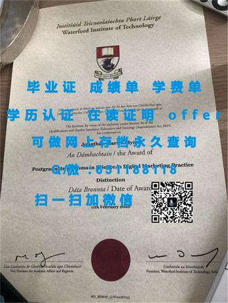 《揭秘桑德兰大学文凭：全球认可的学术成就象征》
