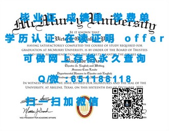 《斯旺西大学文凭：开启国际学术新视野的黄金钥匙》