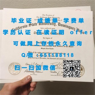 《胡弗汉顿大学文凭：揭开全球顶尖视觉艺术教育的神秘面纱》