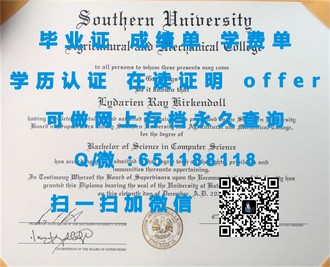 《奥塔哥理工学院文凭：开启全球认可的学术之旅》